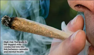  ?? ?? High risk: The study is the biggest ever conducted into the link between cannabis and mental health