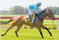  ?? Picture / Race Images ?? Black type performer Hello M’Lady will return to action later in the winter.