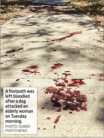  ?? PHOTO: DUBBO PHOTO NEWS ?? A footpath was left bloodied after a dog attacked an elderly woman on Tuesday morning.