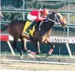  ??  ?? Juana Esther M, a ritmo de galope, ganó la 5ta carrera del martes en el Hipódromo V Centenario (Foto de Marcelo de la Cruz)