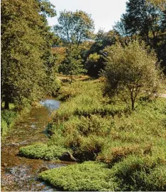  ?? Foto: Michael Peter Blum ?? Ein Herz und eine Seele: Die „kurvige“Lauter und der Radwanderw­eg im Tal in wun derschöner Natur.