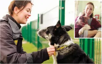  ?? Pictures: DOGS TRUST ?? Fresh start: Care at Dogs Trust. Inset: Dixie with new owner Lucy