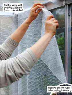  ?? ?? Bubble wrap will be the gardener’s friend this winter!