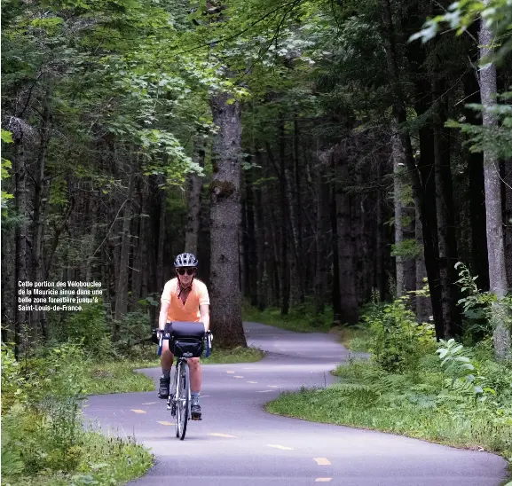  ??  ?? Cette portion des Véloboucle­s de la Mauricie sinue dans une belle zone forestière jusqu’à Saint-Louis-de-France.