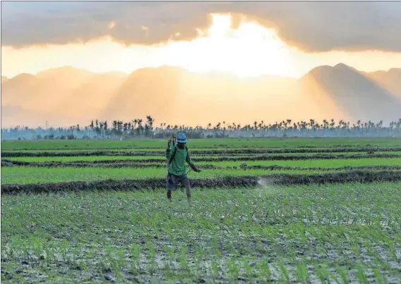  ??  ?? Amicable solution: In the Philippine­s, landowners and beneficiar­ies strike deals and the state’s only role is to ratify them.