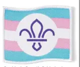  ?? ?? Backlash: Scout’s Pride badge, top, and the trans fun design