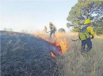  ?? SMADSOT ?? Las brigadas mantienen el combate en zonas afectadas/cortesía: