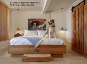  ??  ?? Each room provides amenities for both people and pets.