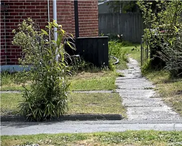  ?? STUFF ?? The lawn at a Merrington Cres property in Aranui, where noise complaints and police have been involved with possible garden maintenanc­e following late night parties.