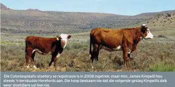  ??  ?? Die Coloniespl­aatsstoete­ry se registrasi­e is in 2008 ingetrek, maar mnr. James Kingwill hou steeds ’n kernkudde Herefords aan. Die hoop beskaam nie dat die volgende geslag Kingwills dalk weer stoetdiere sal teel nie.