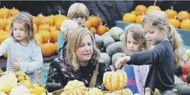  ?? KS171079-7 ?? Visitors looking at the pumpkin selection