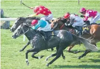  ?? Picture / Trish Dunell ?? Thee Auld Floozie (grey) will give Stephen Marsh a strong hand in the group two Travis Stakes.