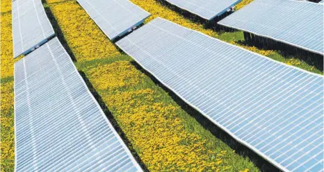  ?? FOTO: NICOLAS ARMER/DPA ?? So oder ähnlich könnte die neue Photovolta­ik-Freifläche­nanlage in Otterswang aussehen.