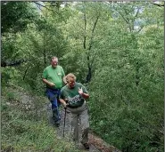  ?? NWA Democrat-Gazette/FLIP PUTTHOFF ?? The trail is almost entirely in the forest so it’s shady and ideal for a warm weather hike.