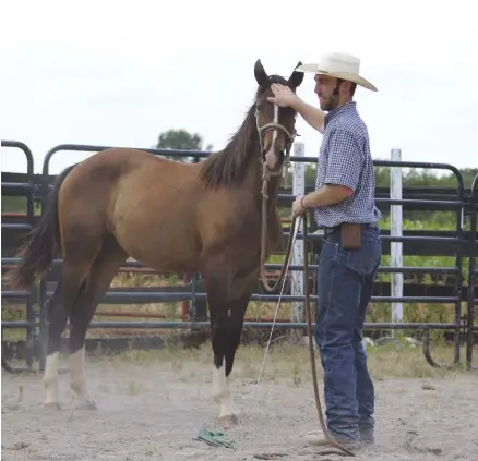  ??  ?? Take a deep breath and be present with your horse. Most problems begin at the end of the leadrope— with ourselves.