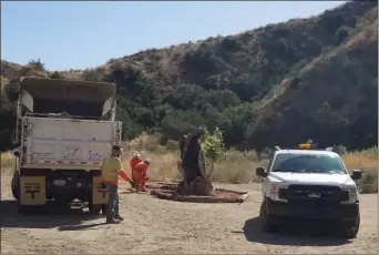  ?? Courtesy photo ?? Work crews trimmed the so-called Madonna Tree on Sierra Highway down to a 10-foot stump Friday to preserve the iconic tree after the Santa Ana winds tore off one of its branches.