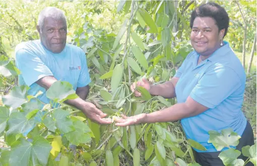  ?? Photo: SUPPLIED ?? Manasa Waqa (left) with Agricultur­e Technical Officer Ra Veniana Nabitu showing the vanilla plant on his farm.