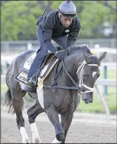  ?? ROB CARR / GETTY IMAGES ?? Exercise rider Nick Bush takes Kentucky Derby winner Always Dreaming for a morning gallop this week at Pimlico Race Course.