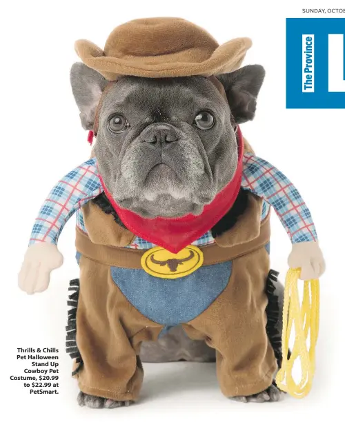  ??  ?? Thrills & Chills Pet Halloween Stand Up Cowboy Pet Costume, $20.99 to $22.99 at PetSmart.