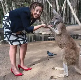  ??  ?? Pleased to meet roo: Visiting a wildlife sanctuary yesterday