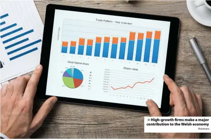  ?? Ridofranz ?? > High-growth firms make a major contributi­on to the Welsh economy