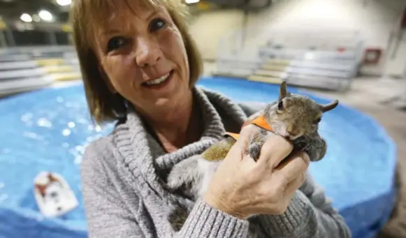  ?? STEVE RUSSELL PHOTOS/TORONTO STAR ?? Lou Ann Best holds Twiggy, the water-skiing squirrel, who’s in town for the Toronto Internatio­nal Boat Show that runs until Sunday at the Enercare Centre.