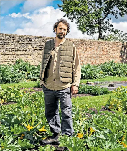  ??  ?? Merlin LabronJohn­son at work; and the saddlebags of his bicycle stuffed with yet more courgettes, below right