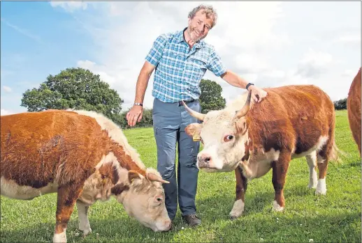  ?? Picture William Lailey/ Caters News ?? Farmer and sound therapist Malcolm Gough with his miniature cattle