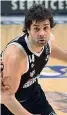  ?? (Ciamillo e Castoria) ?? Stelle
Teodosic e Rodriguez