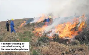  ??  ?? Exmoor ‘swaling’, or controlled burning of the moorland vegetation