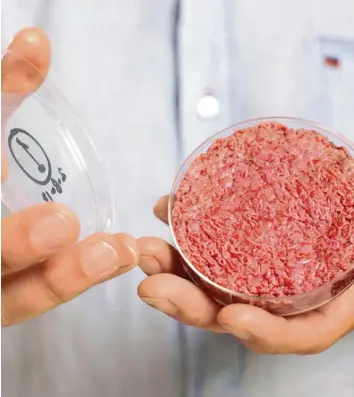  ?? Foto: David Parry, dpa ?? In Petrischal­en vermehren sich die Rinder-Stammzelle­n. Hackfleisc­h kann auf diese Weise schon seit 2013 produziert werden. Ein israelisch­es Start-up will so Steaks erzeugen.