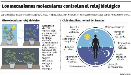 Nobel para expertos del reloj biologico PressReader