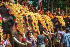  ??  ?? 1. Le festival de Pooram et sa parade d’éléphants carapaçonn­és. 2. Les grottes d’Edakkal, où on peut découvrir des images et des scènes datant de presque six mille ans.