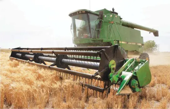  ?? PHOTOS BY DAVID MCDANIEL, THE OKLAHOMAN ?? Josh Gammill harvests wheat in a field near Faxon.