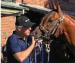  ?? PHOTO: AAP ?? HEADS UP: Mick Price with one of his horses.