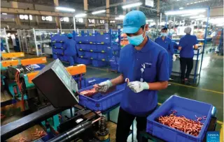  ?? XINHUA PHOTO ?? IN SEARCH OF CLEAN FUEL
A staff member works at the production line of Dunan Metals Co. Ltd in the Thai-Chinese Rayong industrial zone in Rayong province, Thailand, Nov. 8, 2022. The United States will help Thailand develop nuclear power through a new class of small reactors, part of a program aimed at fighting climate change, Vice President Kamala Harris announced on a visit Saturday, November 26.