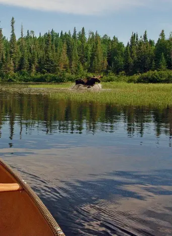  ??  ?? Clockwise from far left: Blindfold Bay pictograph­s—it’s still a scientific mystery as to how these ancient teaching sites have defied the elements; this shot of a canoe, dog and moose personifie­s the Canadian adventure; White Otter Castle, home to...