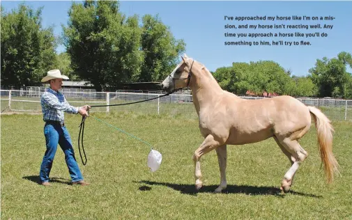  ??  ?? I’ve approached my horse like I’m on a mis
sion, and my horse isn’t reacting well. Any
time you approach a horse like you’ll do
something to him, he’ll try to flee.