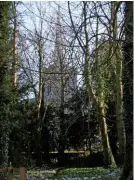  ??  ?? This unusual bridge carries Sunk Road over the footpath. Beneath is the gateway to The Dell.
St Mary and All Saints’ Church, with its needle-like spire, appears through the trees (left.)