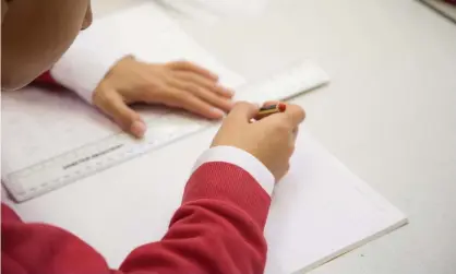  ??  ?? ‘Learning outside may also help kids concentrat­e better and absorb more informatio­n.’ Photograph: lovethepho­to/Alamy