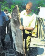  ?? Fotos (3): Leikam ?? Zu dünn bemessen war die Sperrholzp­latte vor der Kanalöffnu­ng in der Donau. OB Hans Günter Huniar fischte sie aus einem Container.