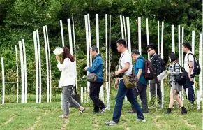  ??  ?? At the end of the Hangang pilgrimage route is the ‘flower route’, where roses creep up white sculptures that symbolise fish bones.