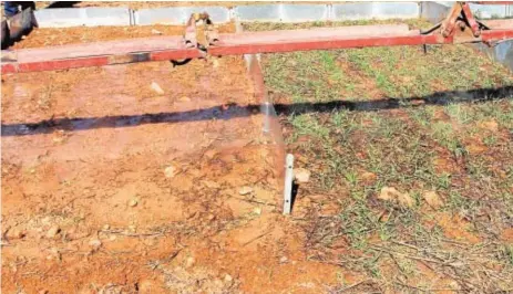  ?? ABC ?? Simulación de lluvia en suelo sin cubierta vegetal y con ella. En el primer caso, se encharca y se lleva la tierra