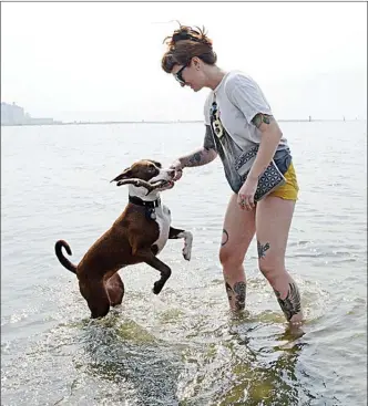  ?? Okanagan Weekend file photos ?? After years of agitation from dog owners, Kelowna city council last year opened up three new doggy beaches along the city's long shoreline. An appreciati­ve Rebecca Houde played last August with her dog Luna at one of the dog beaches, at Poplar Point in...