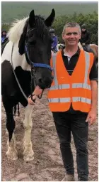  ??  ?? John Pat Long at his riding school in Ventry, who featured in the programme doing a spot of horse trading at Puck.