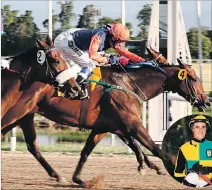  ?? CORTESÍA ?? Figura. Jorge Antonio Ricardo, o simplement­e Ricardinho, correrá cuatro caballos.