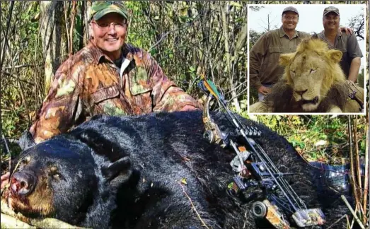  ??  ?? Trophy: Walter Palmer smiles after killing the bear outside an authorised hunting zone
Inset: Palmer, left, and a lion’s body