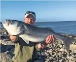  ??  ?? This 14lb bass was caught and released by Sean Dixon, while fishing locally at Cardiff. He used a squid bait cast out 25 yards on an up-andover rig.