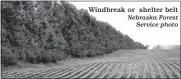  ?? Nebraska Forest Service photo ?? Nebraska Extension March 9, 2023
Windbreak or shelter belt