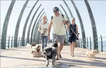  ??  ?? Lesley Da Canha, Marrs Ball and Caron Coetzee were among the umhlanga residents who joined much-loved local canine Humphrey,centre, for a fund-raising walk on the promenade yesterday morning. Humphrey became popular with local residents nearly four...